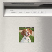 Brittany Magnet (Insitu (Vaatwasser))