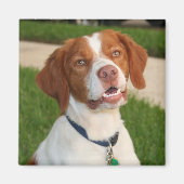 Brittany Magnet (Voorkant)