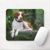 Brittany Mousepad Muismat (Met muis)