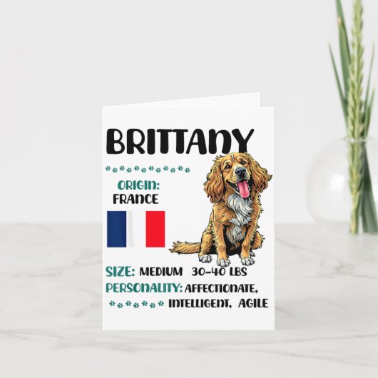 Brittany Origin Funny Brittany Dog Lover  Kaart (Voorkant)