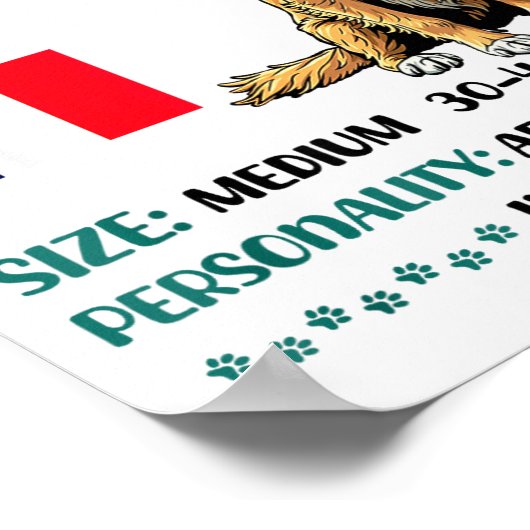 Brittany Origin Funny Brittany Dog Lover  Poster (Hoek)