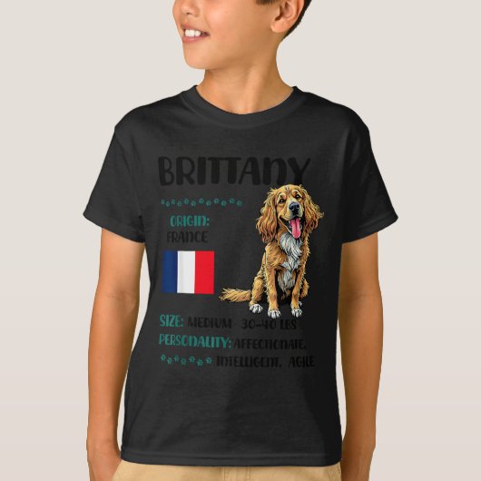 Brittany Origin Funny Brittany Dog Lover  T-shirt (Voorkant)