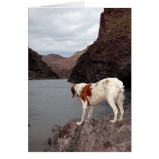 BRITTANY OVER DE COLORADO RIVER