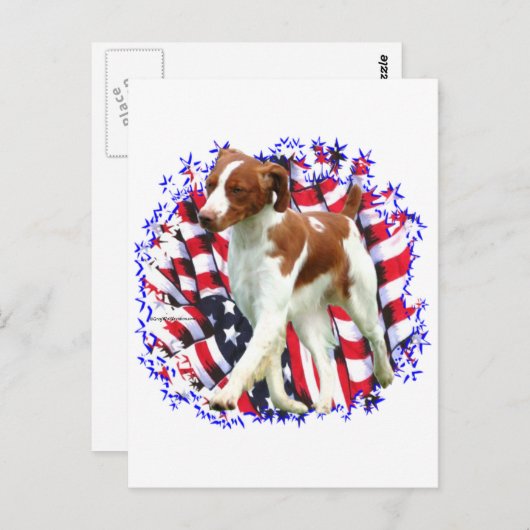 Brittany Patriot Briefkaart (Voorkant / Achterkant)