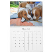 Brittany Puppies Calendar Kalender (Mar 2026)