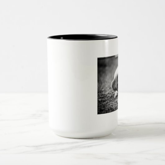 Brittany Puppy Mok (Midden)