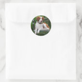 Brittany Ronde Sticker (Tas)