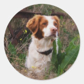 Brittany Ronde Sticker (Voorkant)