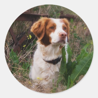 Brittany Ronde Sticker