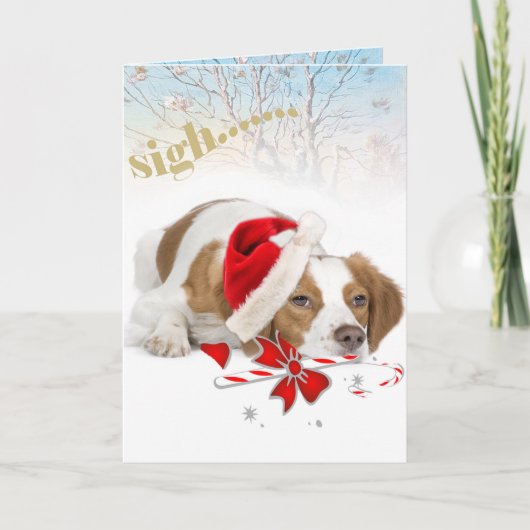 Brittany Santa heeft zo'n lange Kaart (Voorkant)