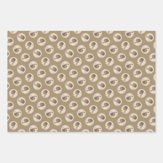 Brittany Schilderij Sinaasappel Roan Spaniel Schat Inpakpapier Vel (Voorkant 3)