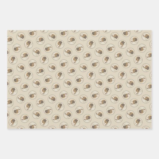 Brittany Schilderij Sinaasappel Roan Spaniel Schat Inpakpapier Vel (Voorkant)