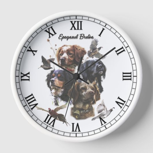 Brittany Spaniel (Voorkant)