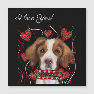 Brittany Spaniel
