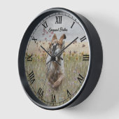 Brittany Spaniel (Hoek)