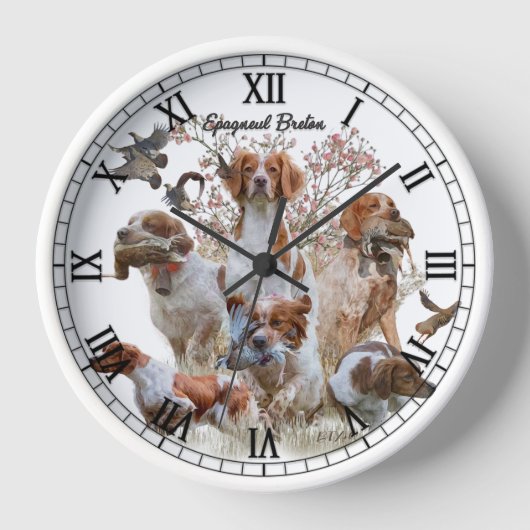 Brittany Spaniel (Voorkant)