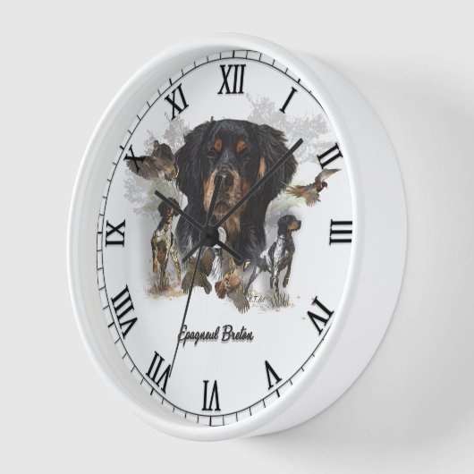 Brittany Spaniel (Hoek)