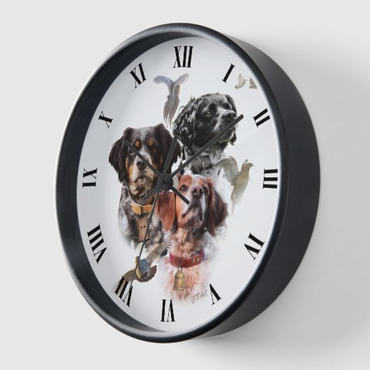 Brittany Spaniel (Hoek)