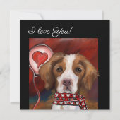 Brittany Spaniel (Voorkant)