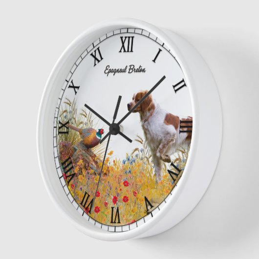 Brittany Spaniel (Hoek)