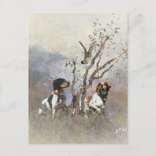 Brittany Spaniel Briefkaart