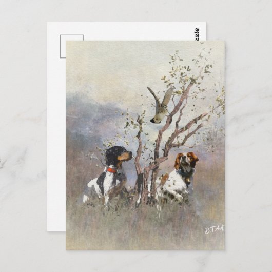 Brittany Spaniel Briefkaart (Voorkant / Achterkant)