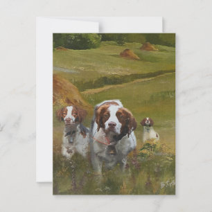 Brittany Spaniel Briefkaart