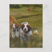 Brittany Spaniel Briefkaart (Voorkant)