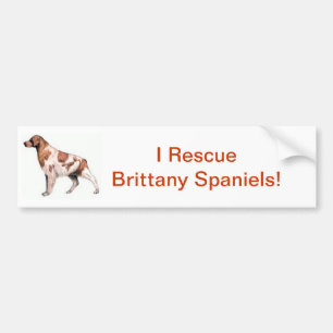 Brittany Spaniel Bumpersticker