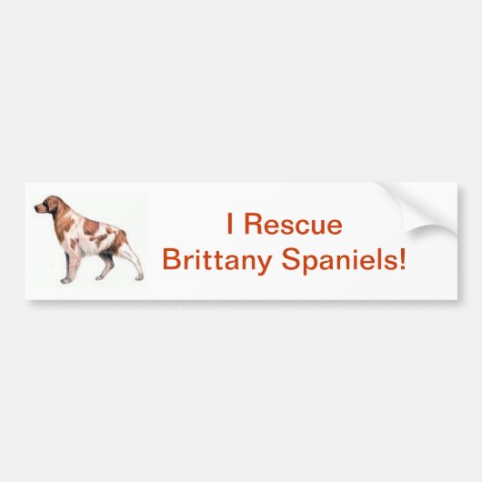 Brittany Spaniel Bumpersticker (Voorkant)