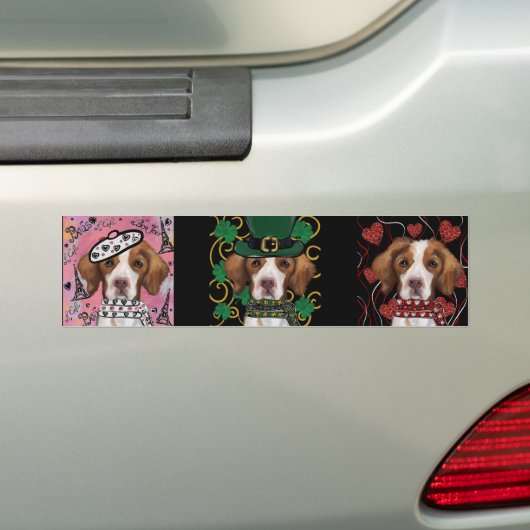 Brittany Spaniel Bumpersticker (Op auto)