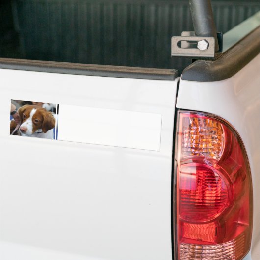 Brittany Spaniel Bumpersticker (Op Truck)