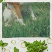 Brittany Spaniel Dog Kitchen Towel Theedoek (Gevouwen)