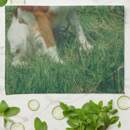 Brittany Spaniel Dog Kitchen Towel Theedoek (Gevouwen)