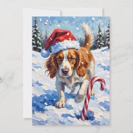 Brittany Spaniel Dog Pointing at Christmas Candy Feestdagenkaart (Voorkant)