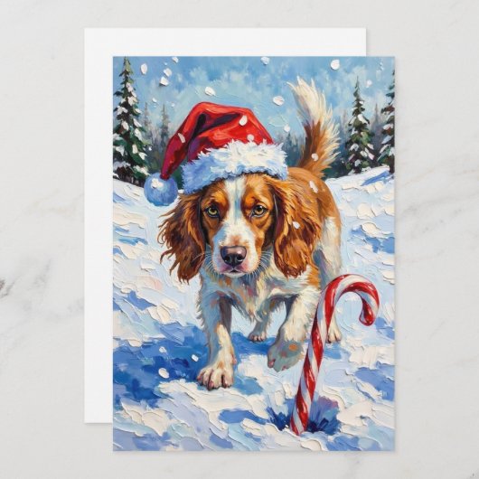 Brittany Spaniel Dog Pointing at Christmas Candy Feestdagenkaart (Voorkant / Achterkant)