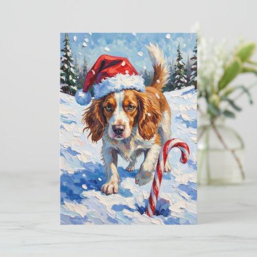 Brittany Spaniel Dog Pointing at Christmas Candy Feestdagenkaart (Staand voorkant)