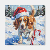 Brittany Spaniel Dog Pointing at Christmas Candy Magneet (Voorkant)