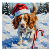 Brittany Spaniel Dog Pointing at Christmas Candy Perfect Poster (Voorkant)