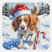 Brittany Spaniel Dog Pointing at Christmas Candy Vierkante Sticker (Voorkant)