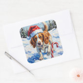 Brittany Spaniel Dog Pointing at Christmas Candy Vierkante Sticker (Envelop)
