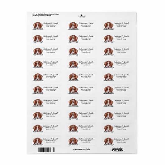 Brittany Spaniel Dog Return Address Etiket (Full Sheet)