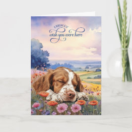 Brittany Spaniel Dog Wildflowers Miss You Kaart