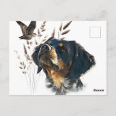 Brittany Spaniel en houtsnip Briefkaart (Achterkant)