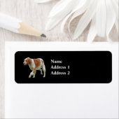 Brittany Spaniel Etiket (Insitu)