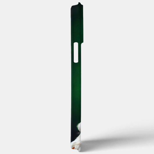 Brittany Spaniel fiets St. Patrick's Day Case-Mate iPhone Case (Achterkant / Rechts)