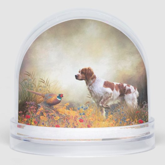 Brittany Spaniel, Frans Bretagne Sneeuwbol (Voorkant)