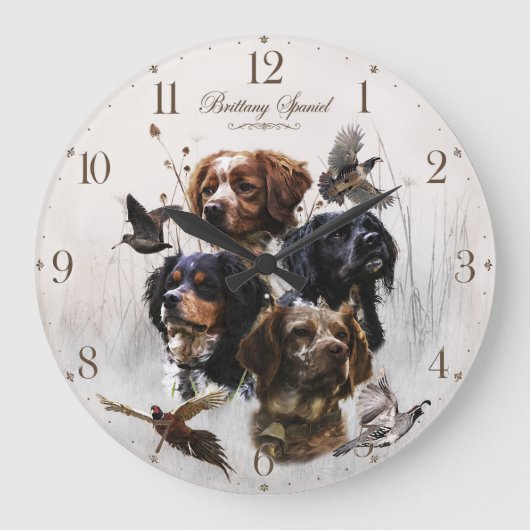 Brittany Spaniel, Franse Brittany Grote Klok (Voorkant)