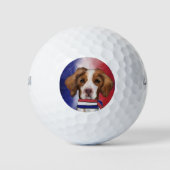Brittany Spaniel Golfballen (Voorkant)