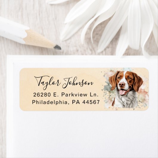 Brittany Spaniel-hond retouradreslabel Etiket (Insitu)